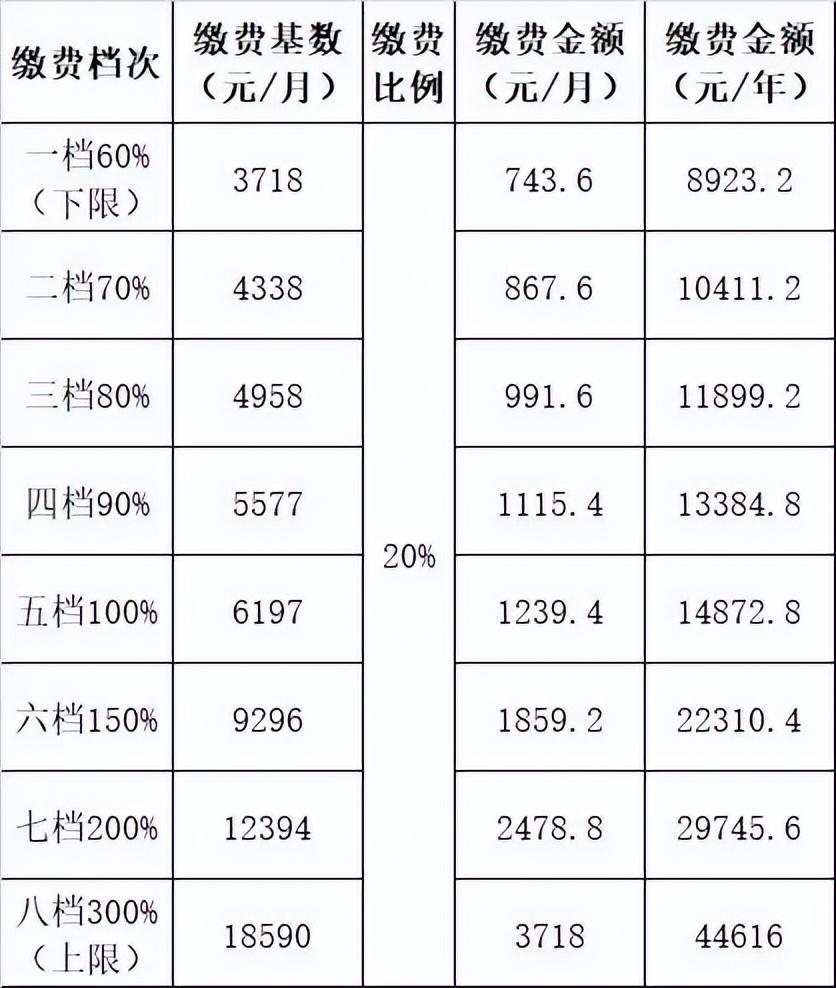 未缴满十五年最新政策,关于未缴满十五年最新政策的解读
