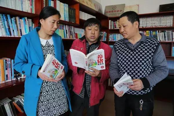 全民养猪最新版本,全民养猪最新版本，从猪圈到成功的励志之旅