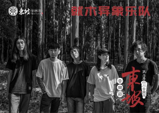 庄心妍2016最新歌曲,庄心妍2016最新歌曲，音乐界的璀璨新星与她的时代影响力