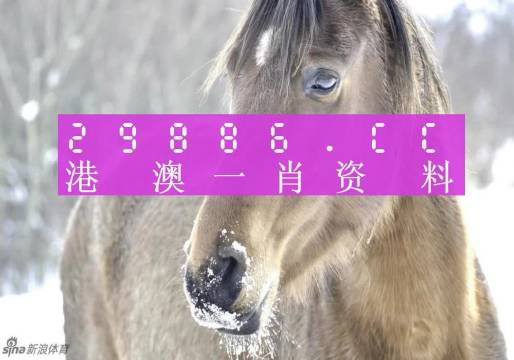 澳门精准一肖一码100%精准,实用性解读策略_EGD27.635VR版