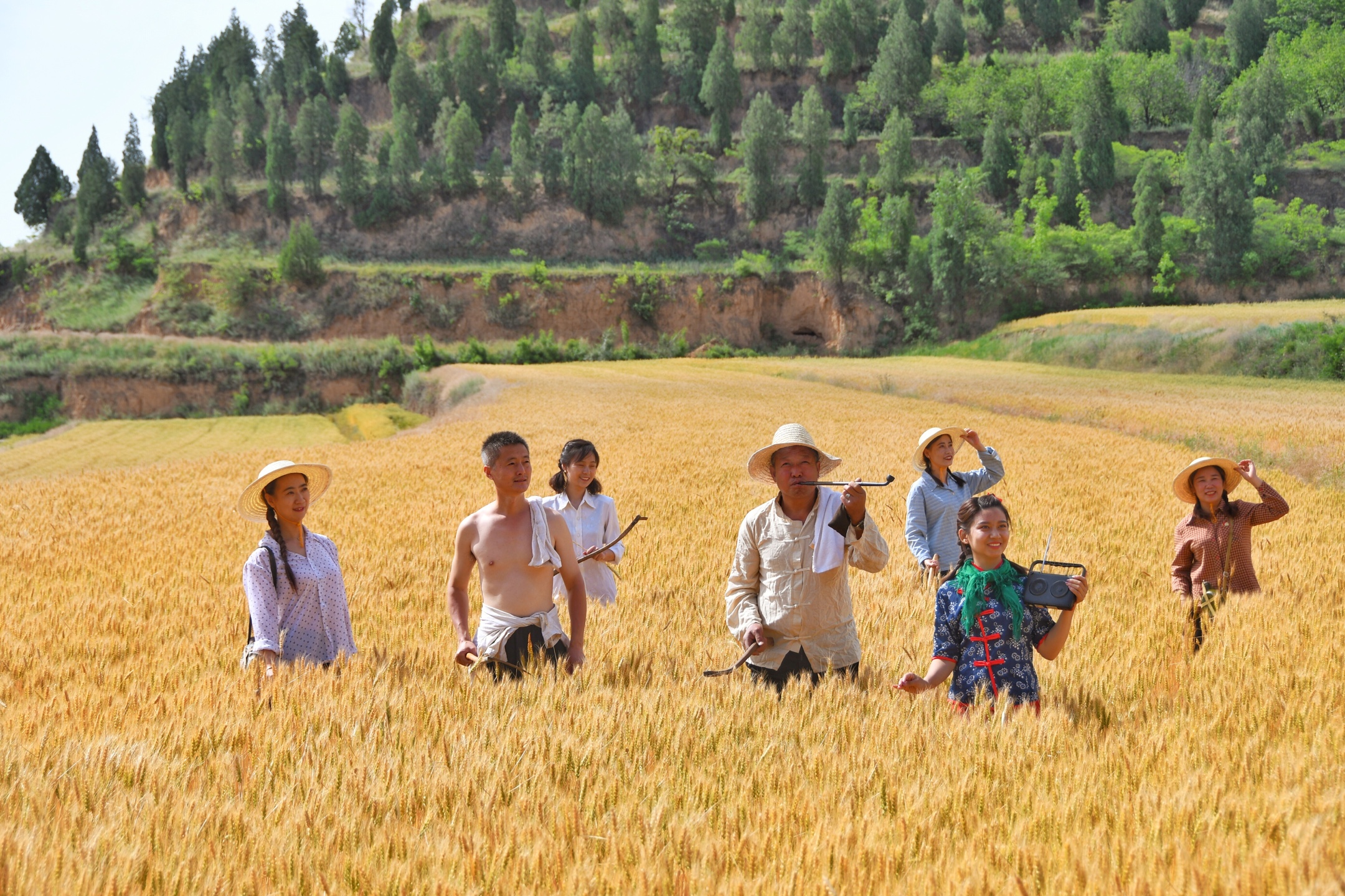 麦地里的故事最新章节,麦地里的故事最新章节🍃🌾