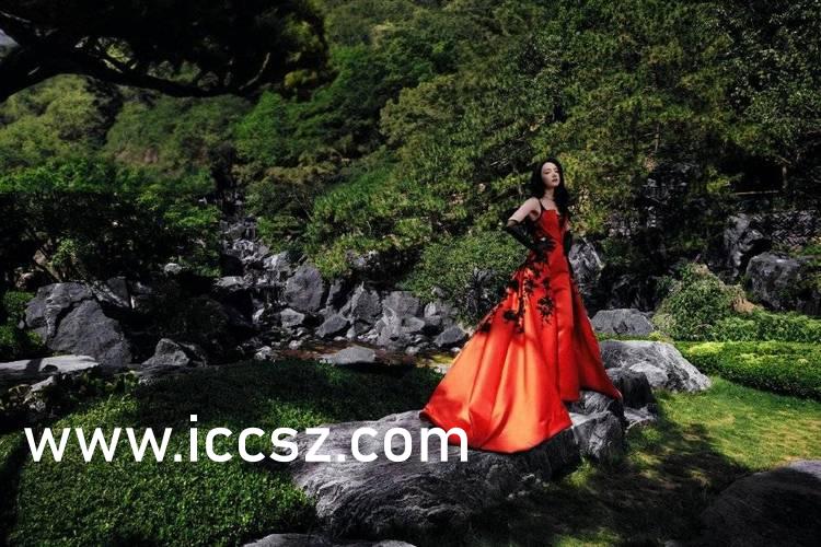 最新秘密搜查官12人,最新秘密搜查官12人,观点论述