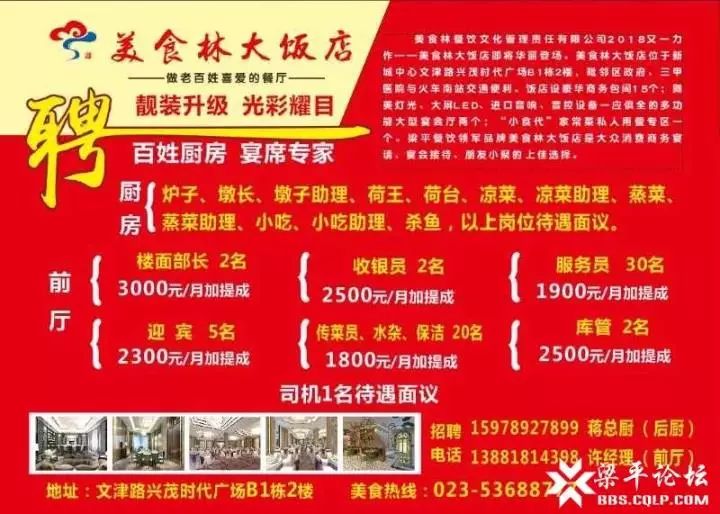 阳信今天最新招聘信息,阳信今日最新招聘信息背景及影响分析