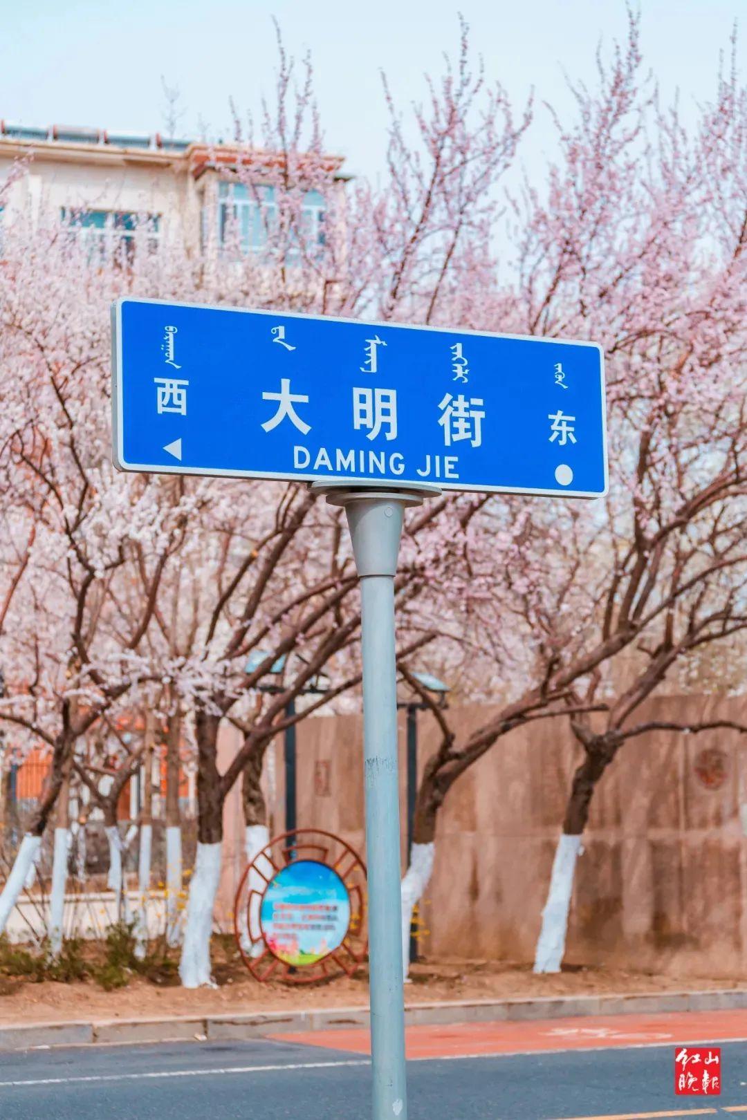 大明春色最新章节,大明春色最新章节获取步骤指南