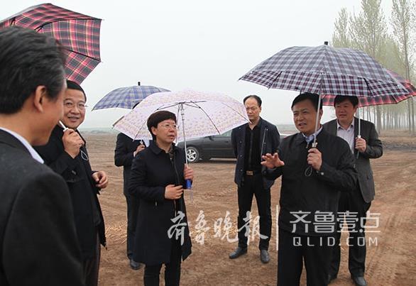 聊城靳凤莲最新职务,聊城靳凤莲最新职务概述