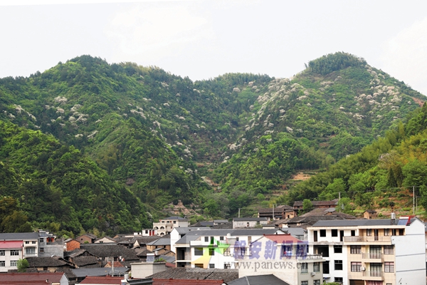 磐安最新闻,磐安最新闻,一场自然之旅的心灵觉醒