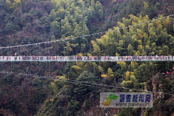 磐安最新闻,磐安最新闻,一场自然之旅的心灵觉醒