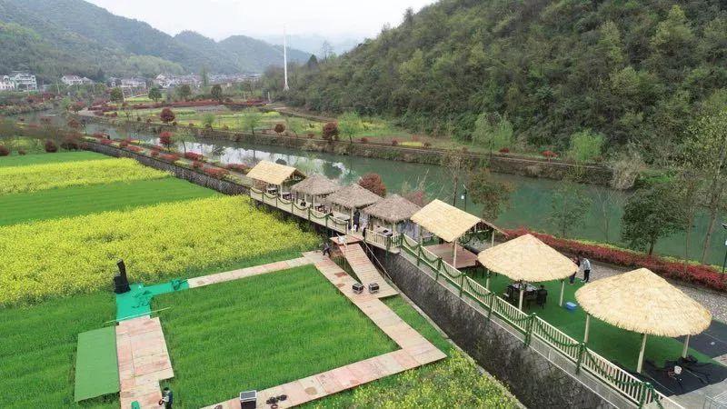 意境最新信息,✨意境最新信息✨