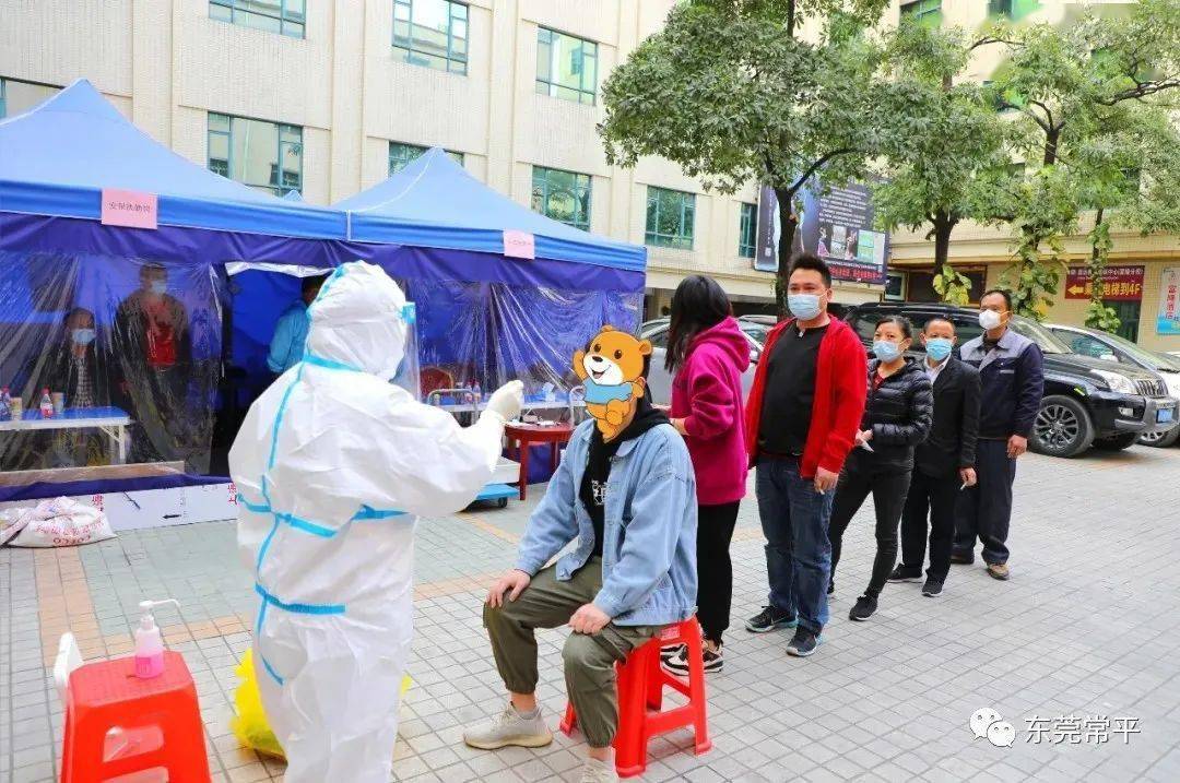 常平最新疫情,常平最新疫情下的自然探索之旅,寻找内心的平和绿洲