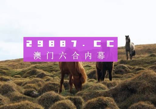 旧澳门开奖结果+开奖记录,创新解释说法_迷你版49.840