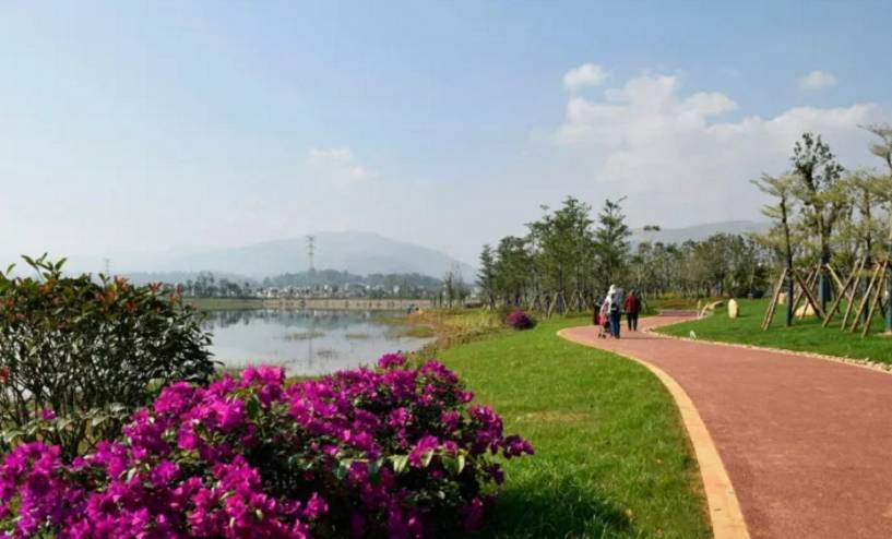 凤凰公园资讯,凤凰公园资讯,友情与欢乐的温馨日常