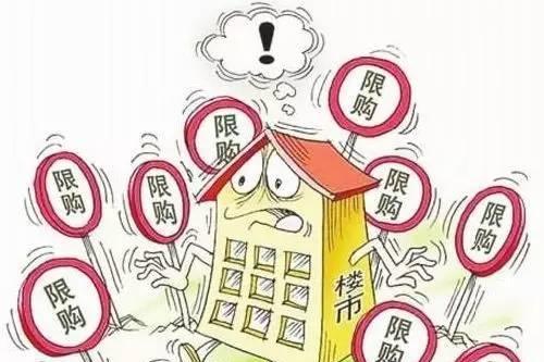 中国楼市未来或现崩盘风险,中国楼市未来或现崩盘风险，背景、影响与地位