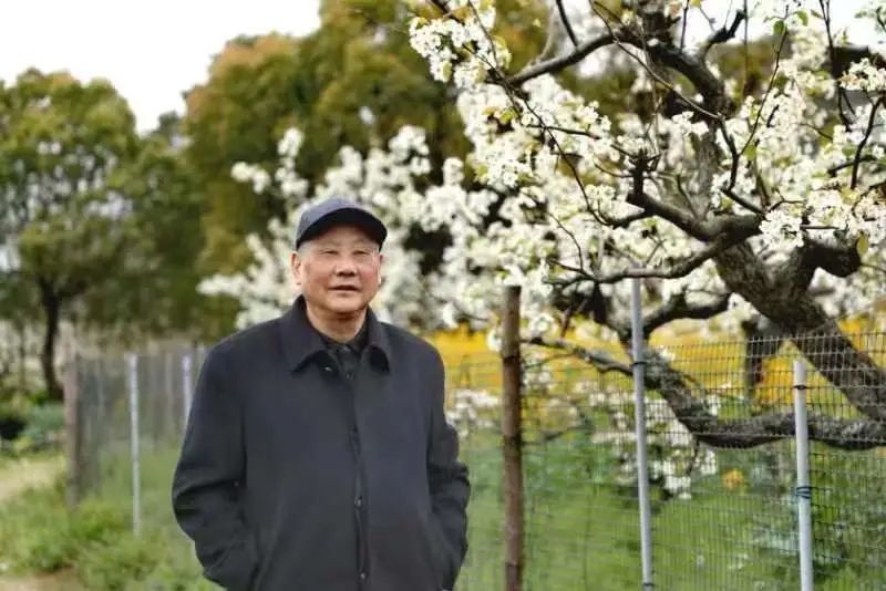 王鸣：顶级农民最新动态,王鸣，顶级农民的最新动态