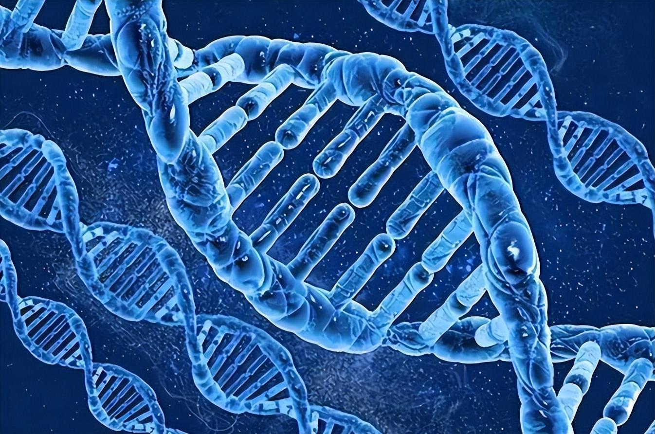 基因奥秘最新,基因奥秘最新,探寻生命科学的未来之门