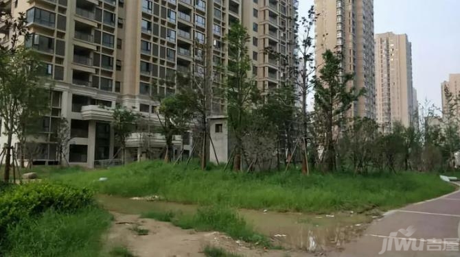 开封悦都最新动态,开封悦都最新动态