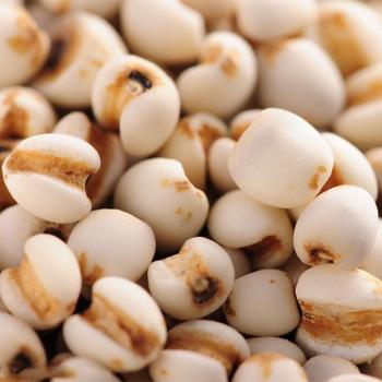 薏仁价格信息,薏仁的温情之旅,价格背后的故事