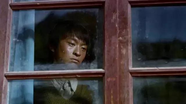 董子健拍过的电影,董子健,光影之间的温情故事