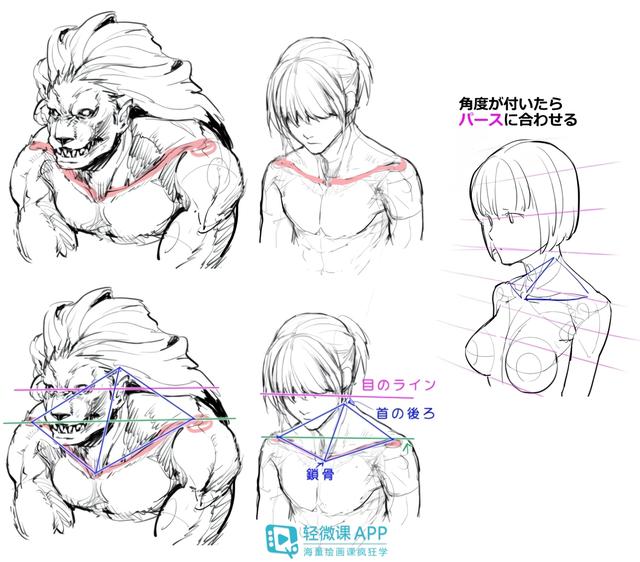 初学动漫,初学动漫，一笔一画，绘出无限可能