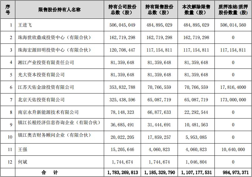 上市公司限售股,上市公司限售股,解析与洞察