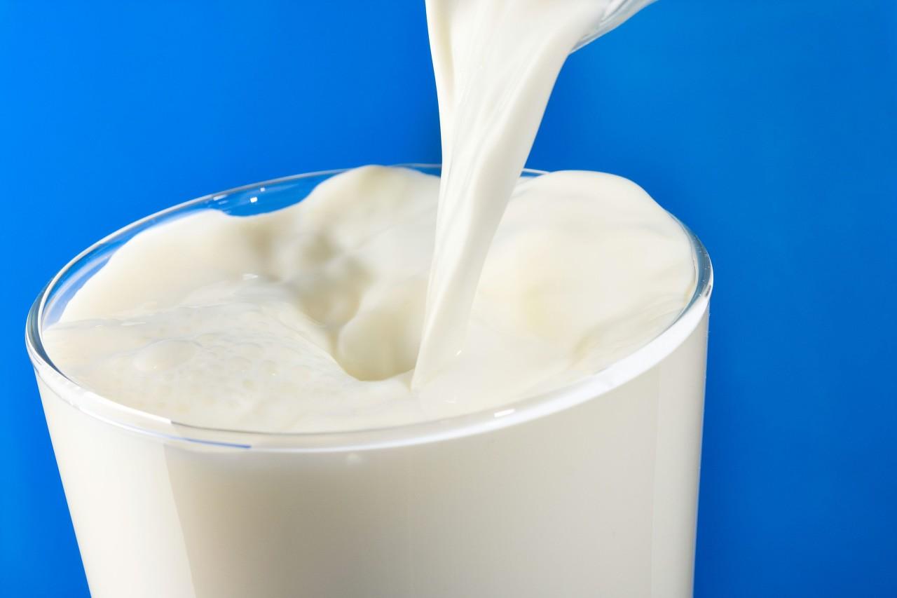 麦趣尔最新消息,麦趣尔最新消息,探究其影响及前景展望