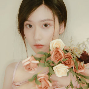 梦薇演员,梦薇演员,演艺之路的璀璨之星