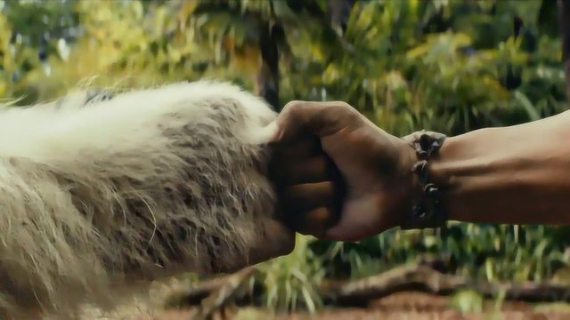 动物变大的电影,动物变大的奇幻之旅——小巷深处的特色电影小店