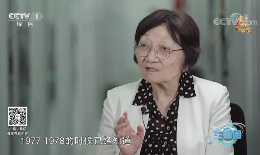 闻玉梅乙克最新进展,闻玉梅乙克最新进展及其相关论述