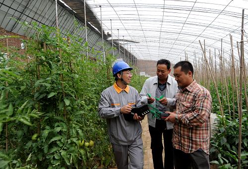 新澳天天免费资料大全,电网规划发展目标_YMY55.329跨界版