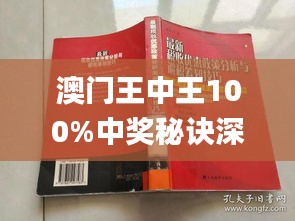 澳门王中王100,决策支持方案_QBM55.214美学版
