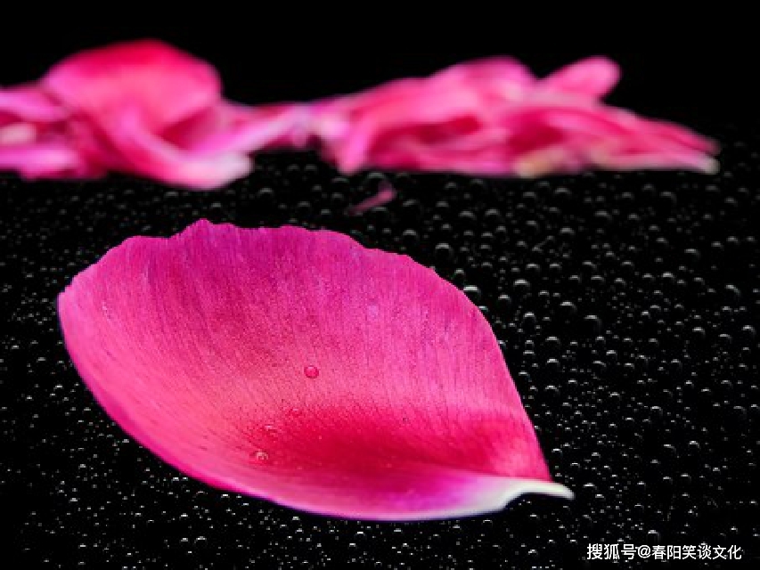 澳门精准一码发财使用方法,全身心数据指导枕_MZE55.508社区版