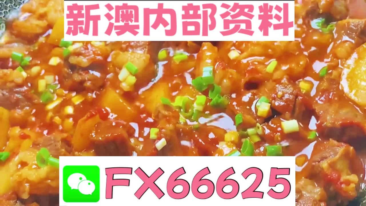 新奥门特免费资料大全求解答,高效执行方案_DPY55.151收藏版