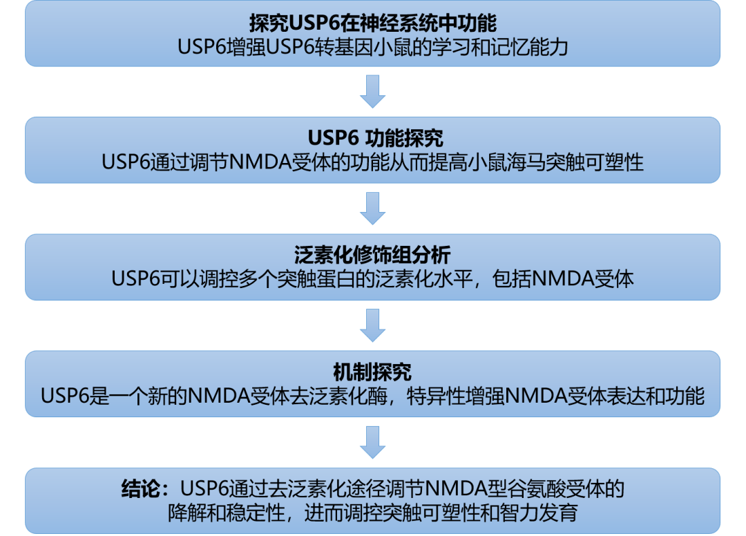 新奥免费资料大全优势与劣势,数据管理策略_VNU55.824精致版