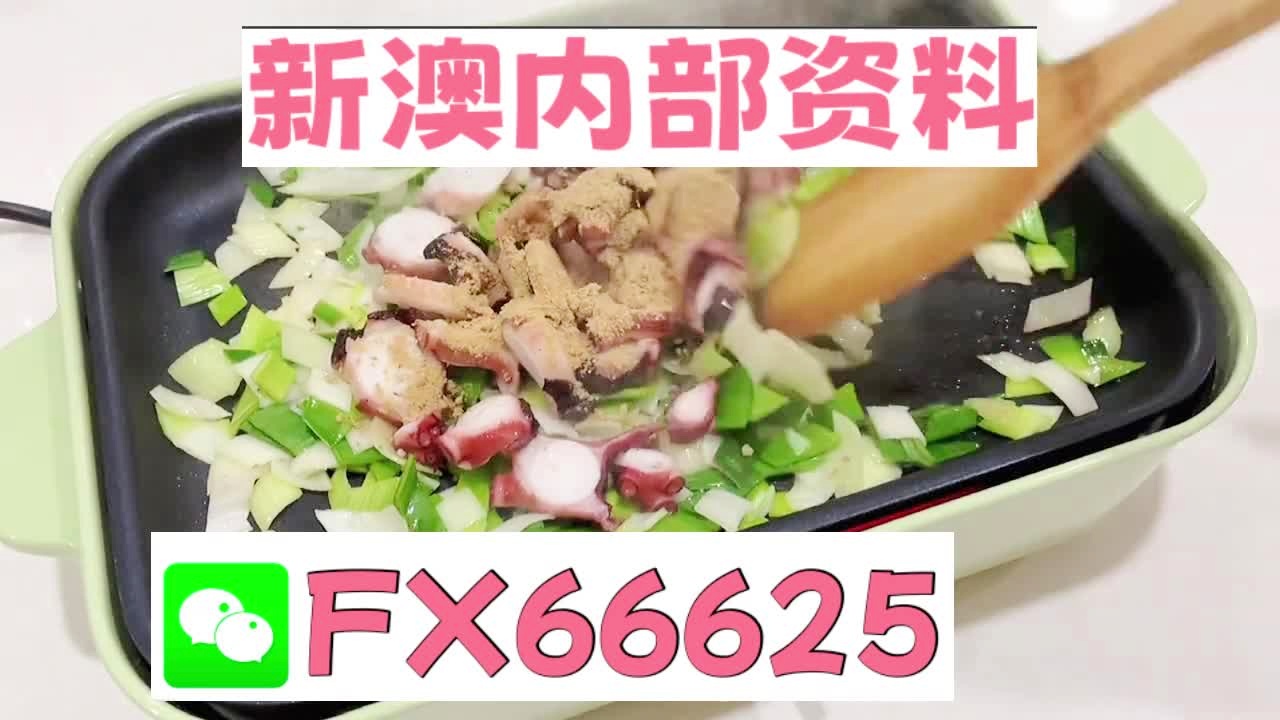 新澳精准内部码资料期期准,具象化表达解说_JUS55.904计算机版