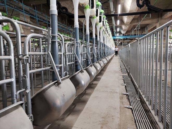 晋江五里工业区最新招聘信息,晋江五里工业区最新招聘信息