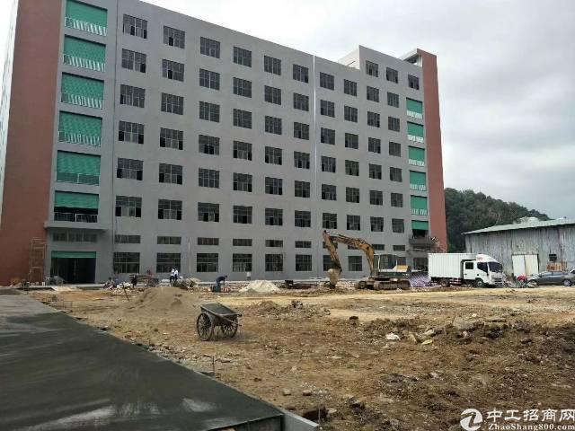 东莞长安涌头最新招聘,东莞长安涌头最新招聘,小巷中的隐藏宝藏,等你来探索!