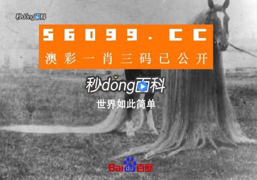 澳门今晚必中一肖一吗,高度协调实施_SWZ45.919贴心版