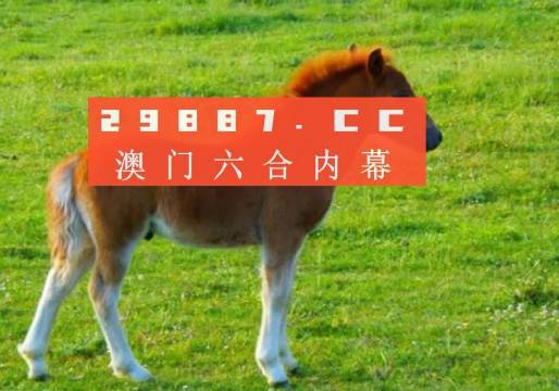 澳门必中一肖一码第一个,方案优化实施_WKU45.812机器版