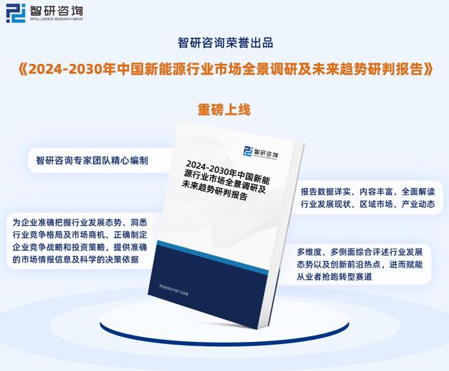 2024新澳正版资料,创新策略执行_QRP45.156云端版