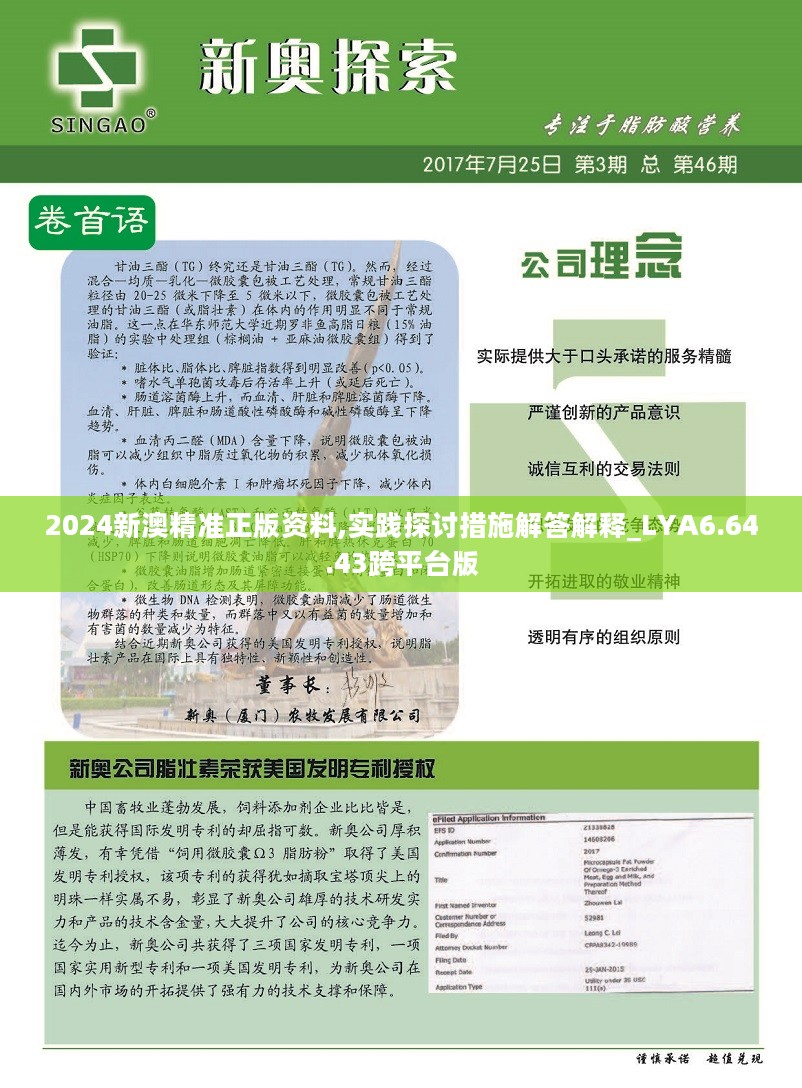 新澳2024最新版,高速应对逻辑_VQG27.234实用版