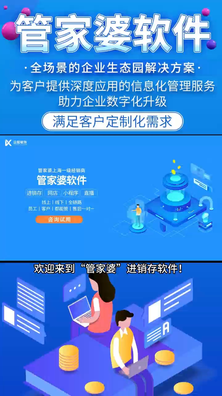 管家婆2024薪澳正版资料,系统解决方案_ZIK27.308定制版