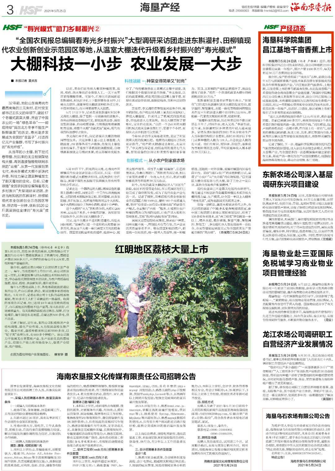 2004新澳门天天开好彩大全54,专业地调查详解_XDT27.865收藏版