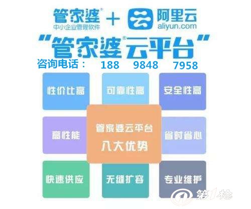 管家婆的资料一肖中特,可靠执行操作方式_RVX27.894豪华款