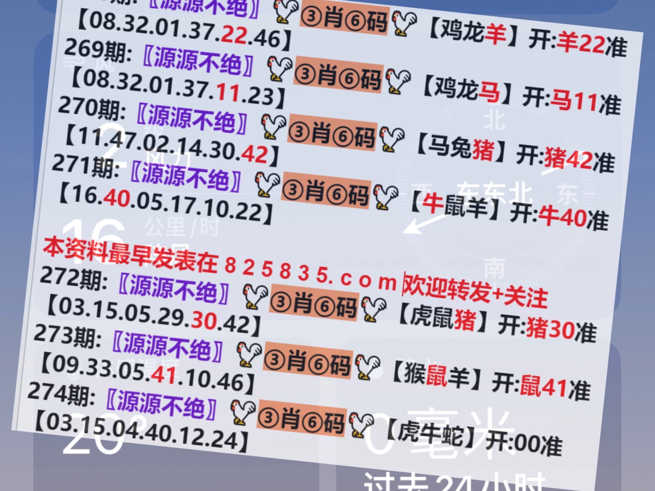 2O24澳门开奖结果王中王,信息明晰解析导向_PIV27.358调整版