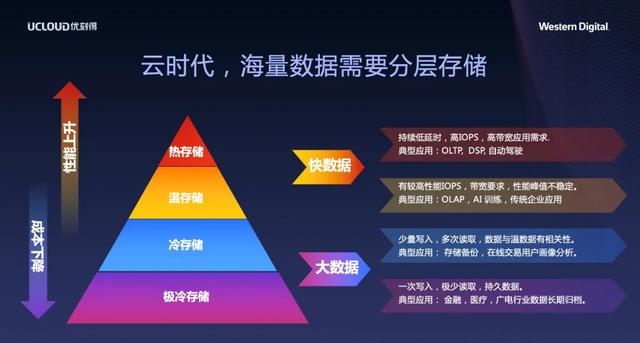 白小组正版免费资料,数据驱动决策_PBK27.516供给版