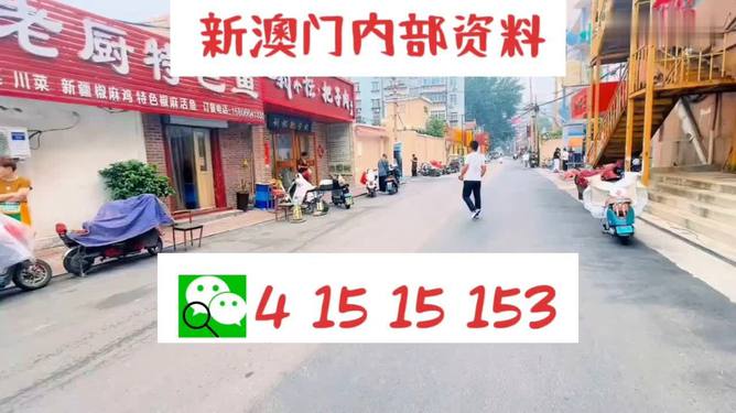 新澳门天天开好彩大全510期,科学分析严谨解释_VIS27.270精装版