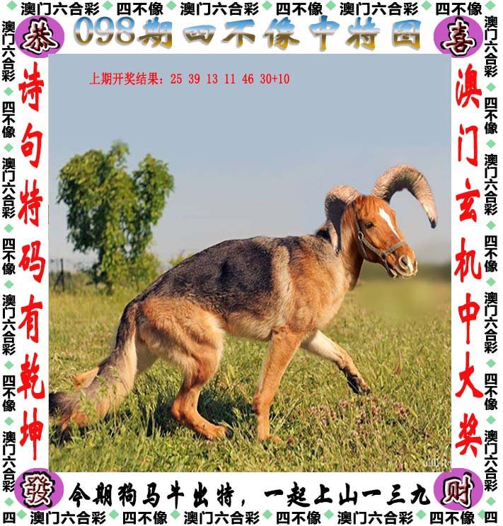 澳门四不像正版资料,实地应用实践解读_SWB27.500SE版