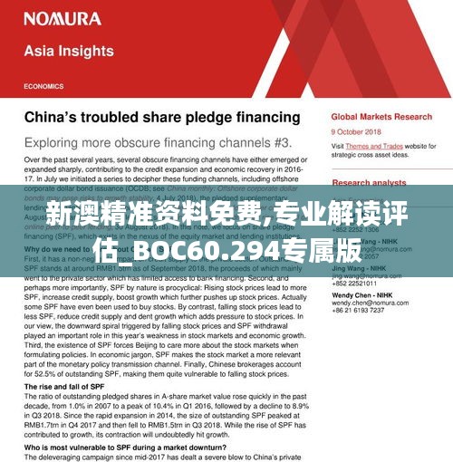 新澳精准资料,实地验证实施_SCC27.838理想版