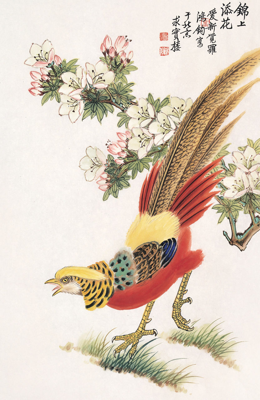 金鸿钧2015年最新价格,金鸿钧的神奇之旅,寻找2015年最新价格的奇妙冒险