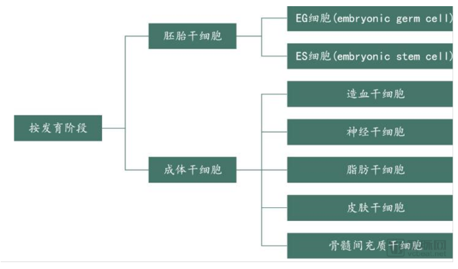 2024澳门传真免费,科技成果解析_DFH81.619万能版