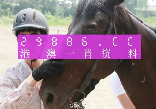 今晚澳门精准一肖一马,精细评估方案_UUU81.517超高清版